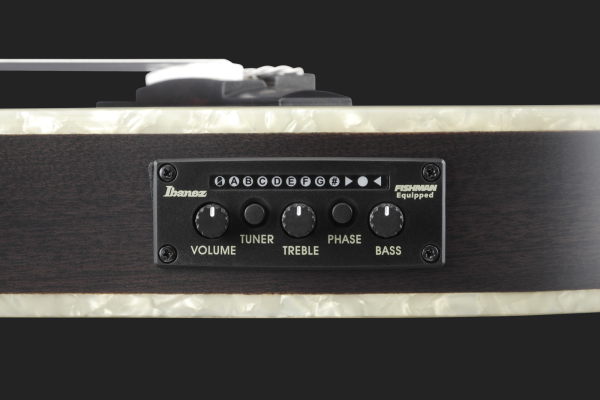 Ibanez Signature Tim Henson TOD10N, Sitka Fichte massiv/ Sapele, Pickup, Cutaway, Slimline